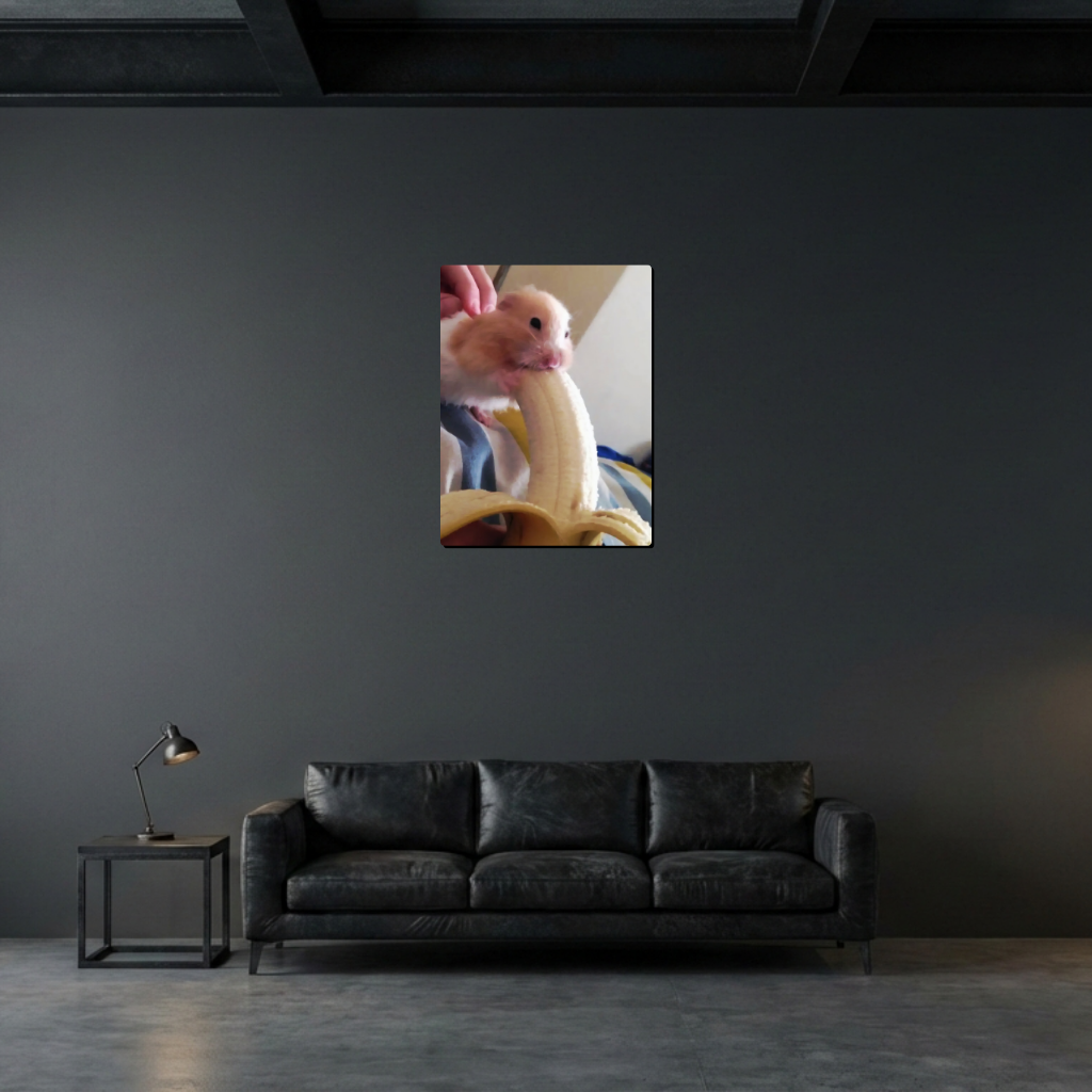 YHamster