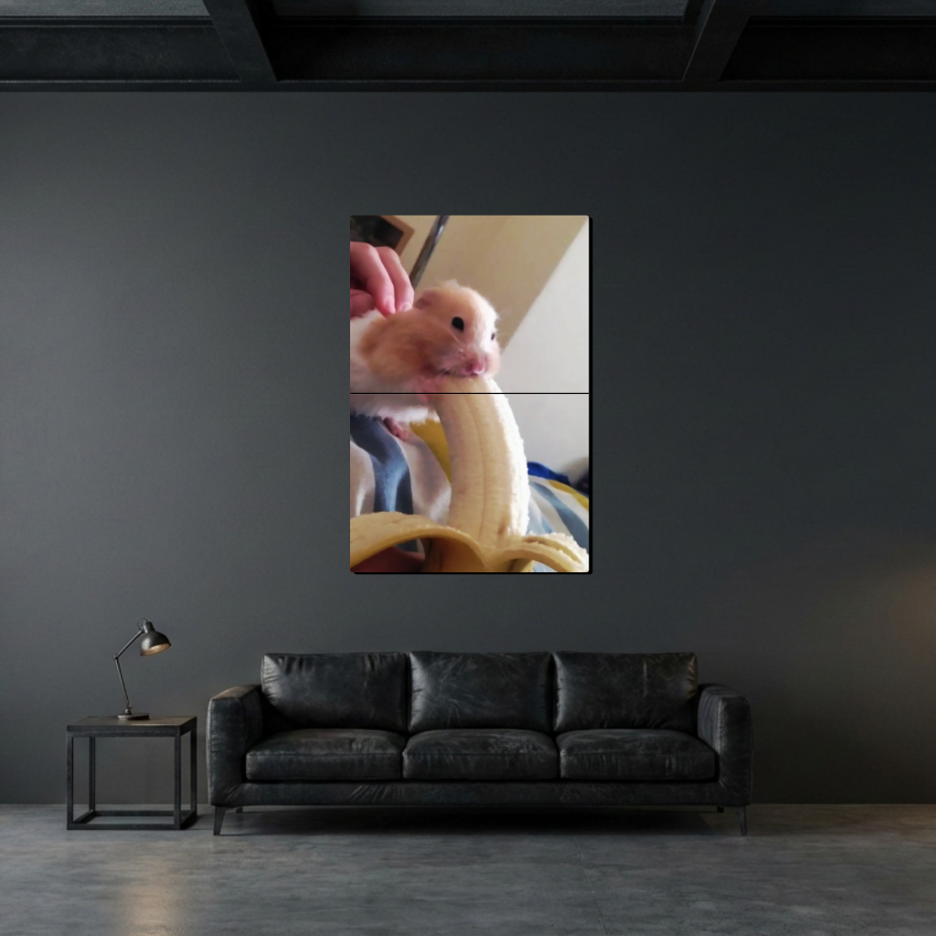 YHamster