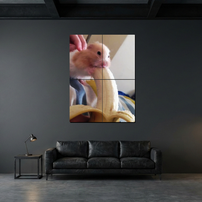 YHamster